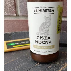 Za Miastem Cisza Nocna